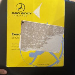 Pilates Exercise Ball