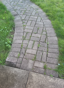 Reclaimed Concrete Walkway Pavers, ~75 sq ft, Gray Brick-Style