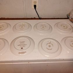 Collector Plates