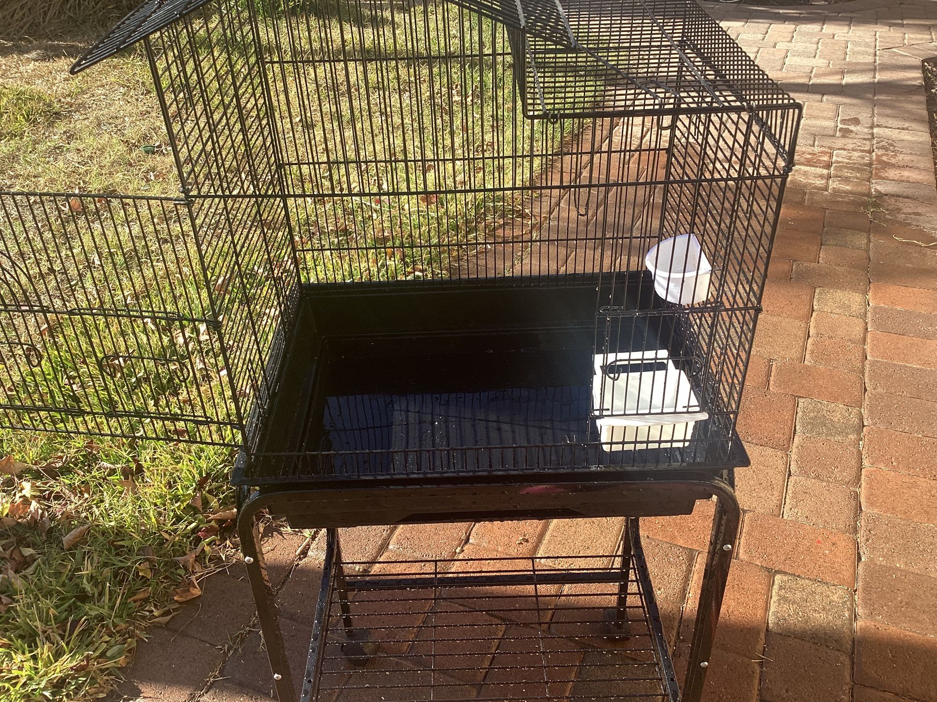 New Bird Cage