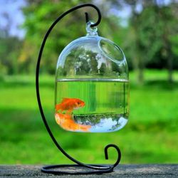Clear PETFORU 15cm Height Hanging Glass Aquarium Fish Bowl Fish Tank Flower Plant Vase with 23cm Height White Rack Fishbowls
