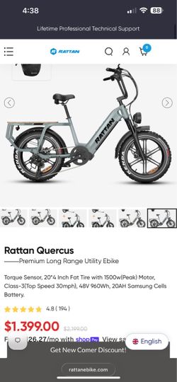 Rattan Quercus electric bike