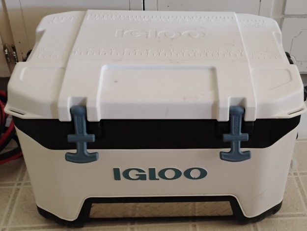Igloo Cooler