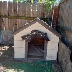 Big Insulated Dog House 