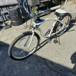 Schwinn Hornet 