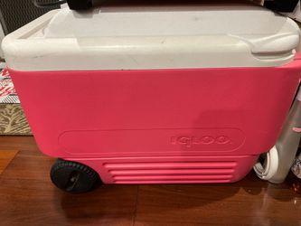 Igloo cooler
