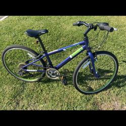 Diamondback Insight 24”
