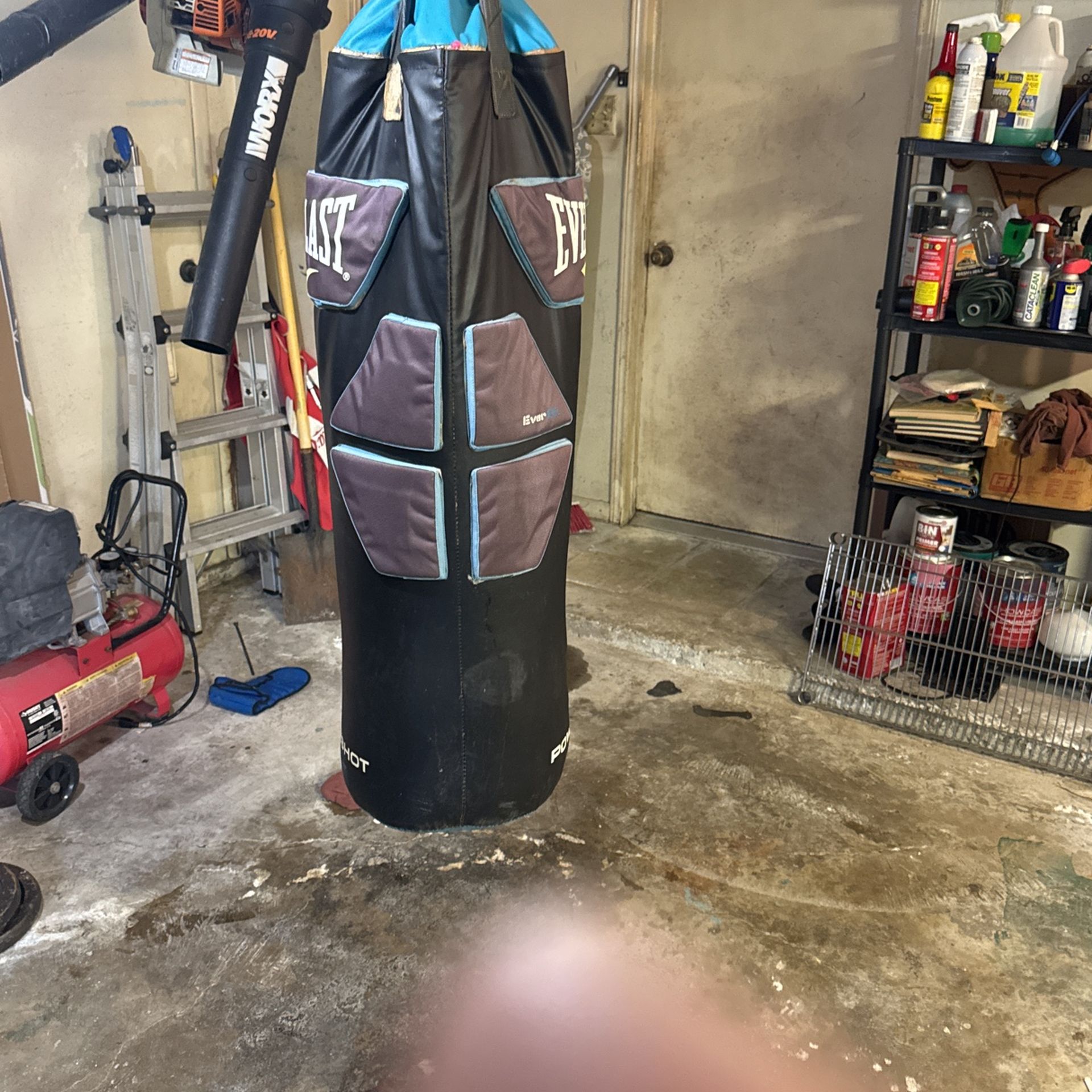 Punching Bag Everlast