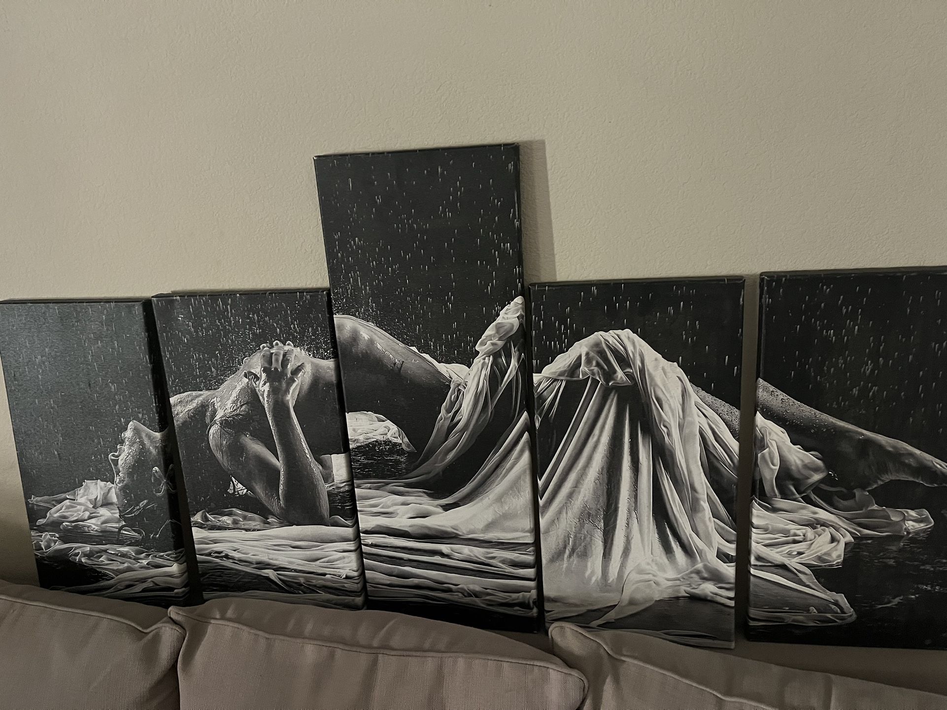 5 Piece Art