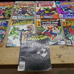 LOT 9 MARVEL AMAZING SPIDER MAN COMIC BOOKS 30 FEB 112 FEB 56 APR 288 MAY 81 JUL 266 JULY 73 SEPT 22 SEPT 295 SEPT 