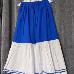 Blue Skirt 