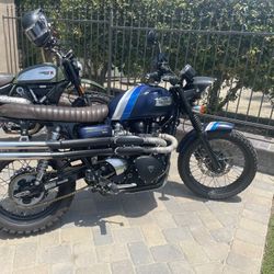 2015 Triumph Scrambler