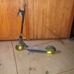 Electric Scooter 