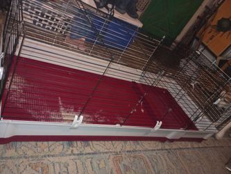 Large cage good condition only 40$