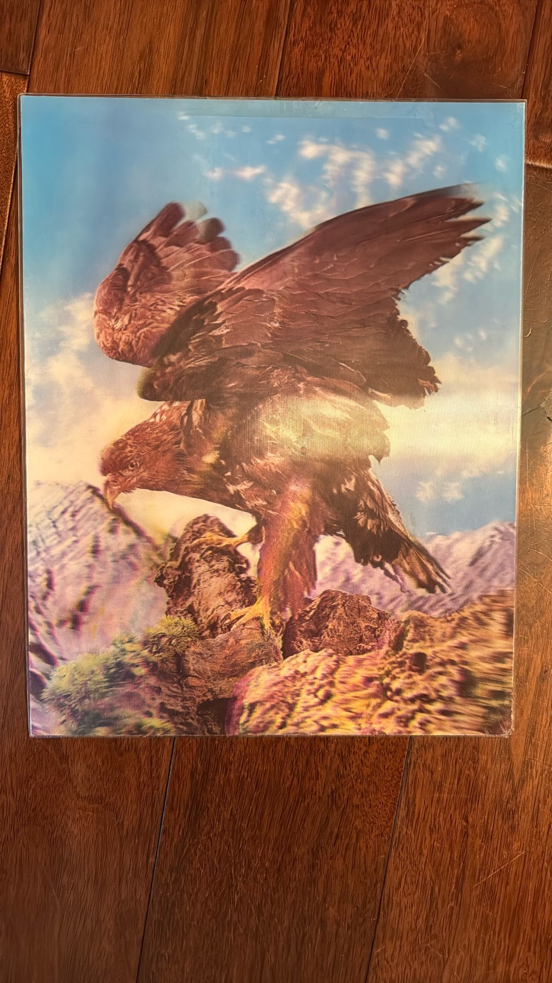Lenticular EAGLE 3D Postcard Frame Japan