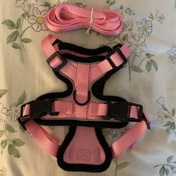 Kitten/cat harness