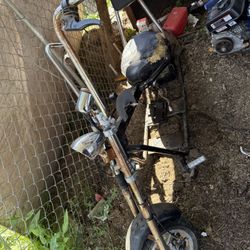 Mini Chop 