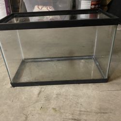 5 Gallon Fish Tank. 