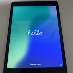 iPad 9th Gen - 256GB - Excellent Condition - iCloud Unlocked