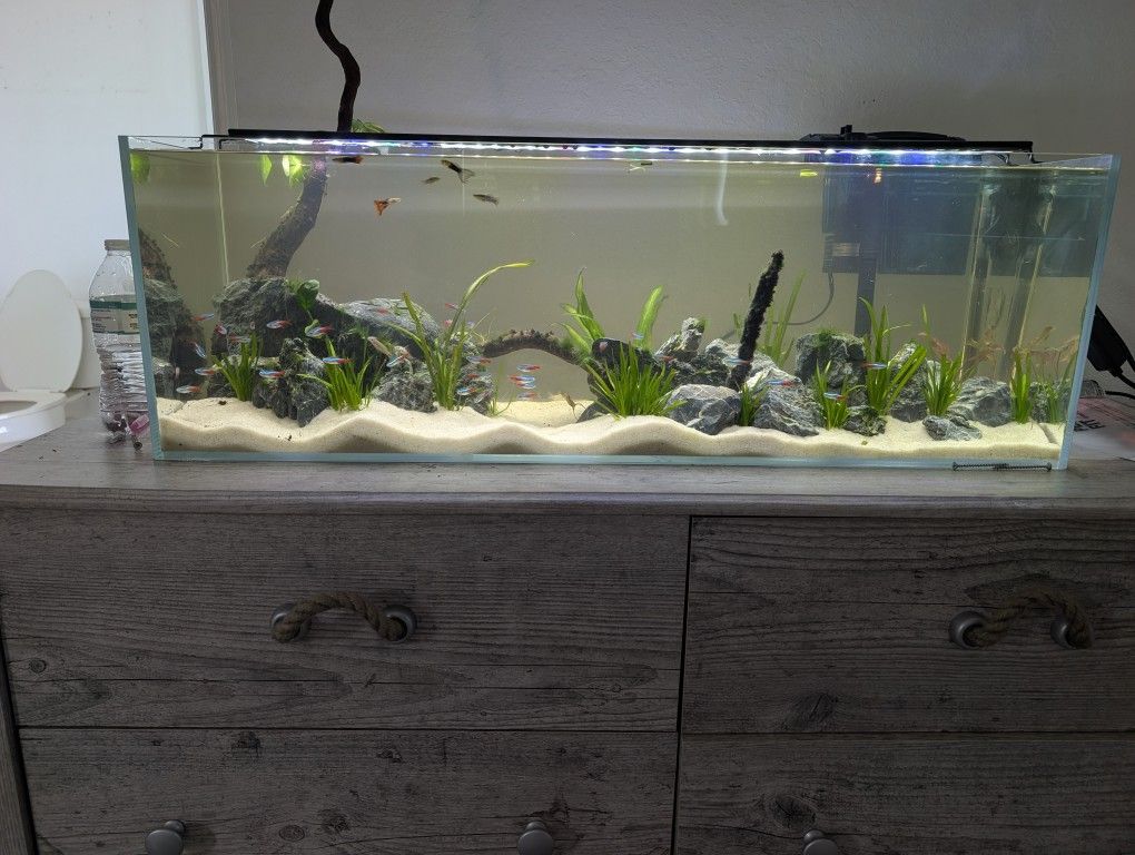 Peninsula 22 Gallon Rimless Tank