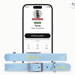 Digital Sillacone Dog Collar