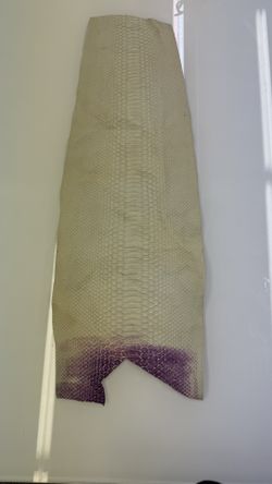 2 Feet Long Python Skin