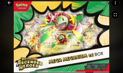 Pokemon Ascended Heroes Mega Maganium Ex Box