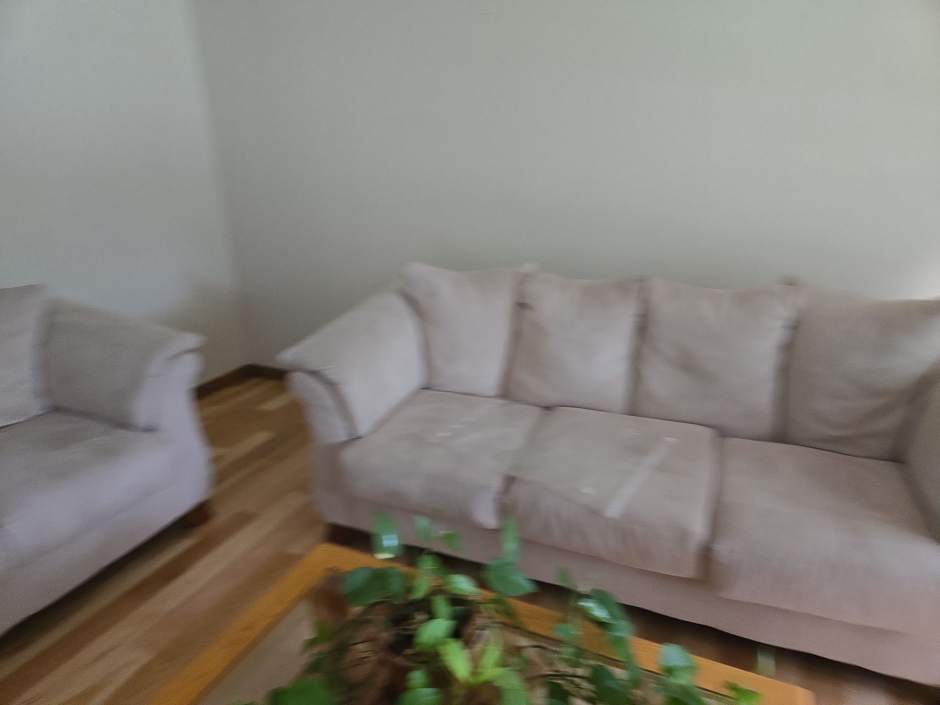 Free Couch