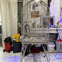 Bird Cage
