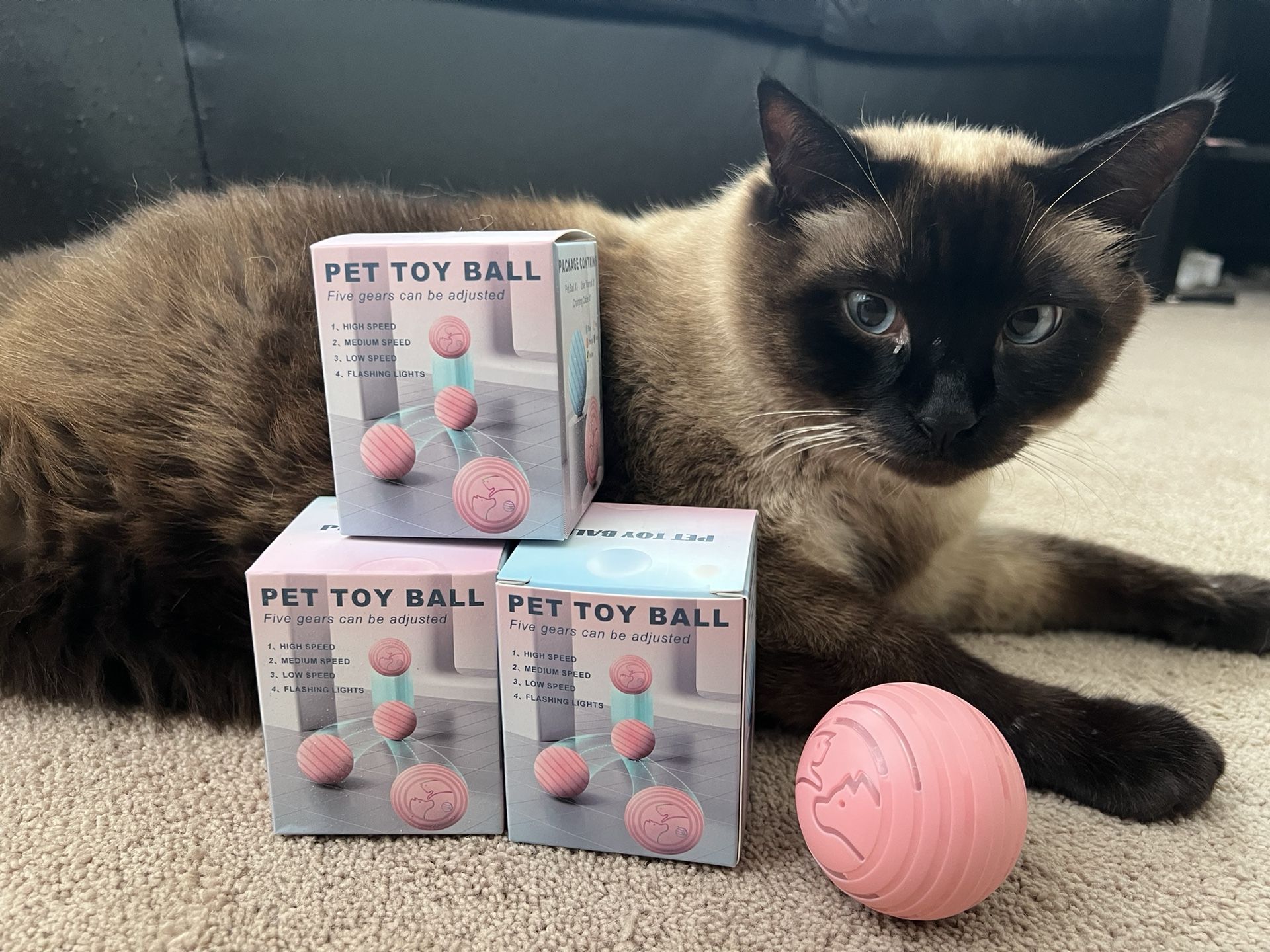 Pet Toy Ball For Dogs And Cats.