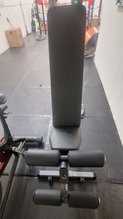 Workout Bench