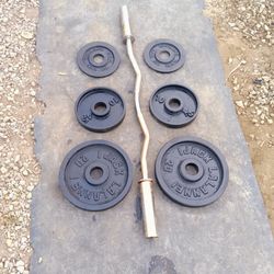 Olympic Curl Bar With Weights 