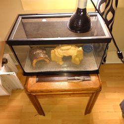 Selling A Gecko Cage  I Also Have The Reptile As Well Included In This Price 