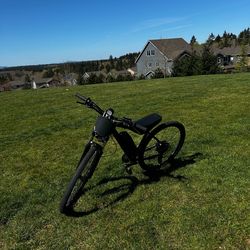 Qlife racer e bike