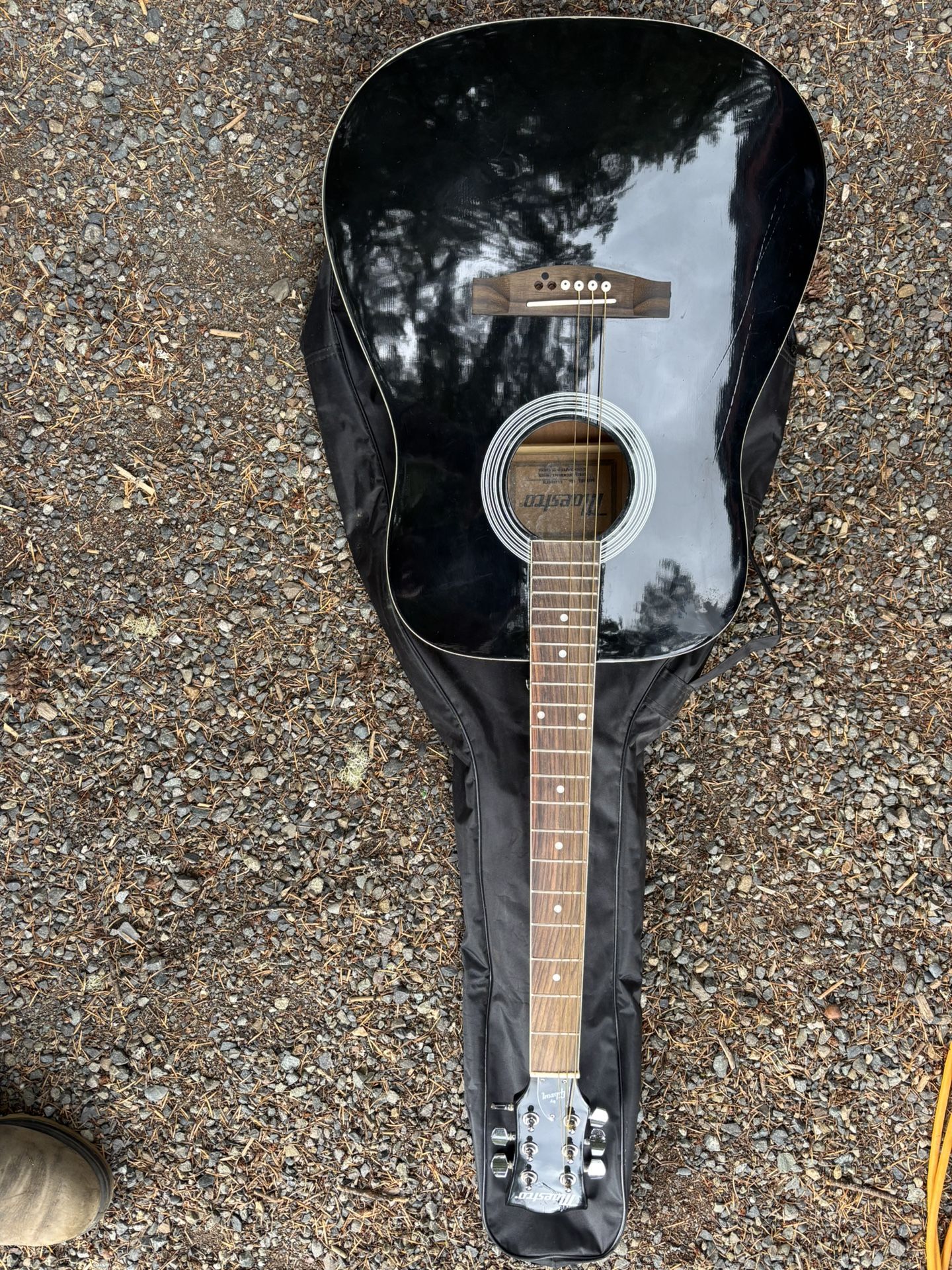 Maestro Guitar