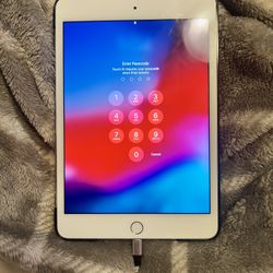 iPad Mini 4