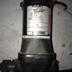 Flo Jet Washdown Pump