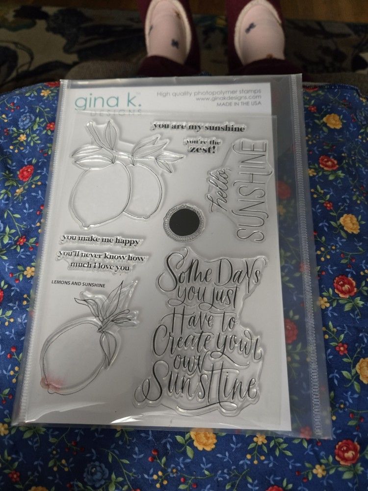 Gina K lemons & Sunshine Stamp & Die Set