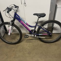 24 Inch Girls Bike
