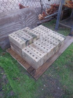 45  Bricks    -      45  Ladrillos