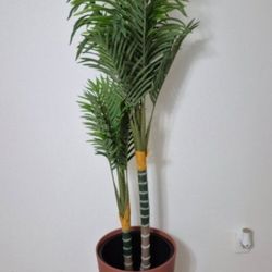 *** REDUCED *** 5ft Faux Golden Cane Palm in a 22in Sienna Resin Planter @ Lasting Creations