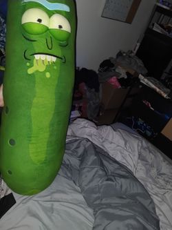 Funko pickle Rick 2018