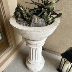 Outdoor Plant Pot And Concrete Pedestal With Cacti & Succulents