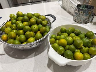 Fresh Calamansi $5/lb
