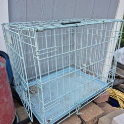 Dog House