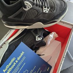 Jordan Retro 4 ( Cats ) 