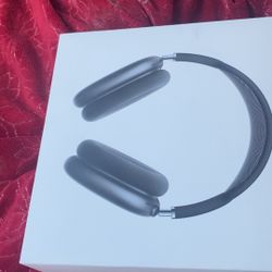 AirPods Pro max