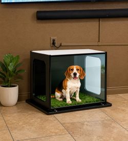 Indoor dog potty