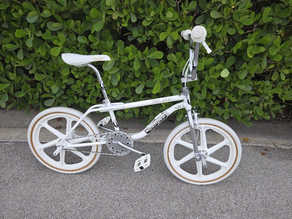 1993 Gt Pro Performer Team Model
