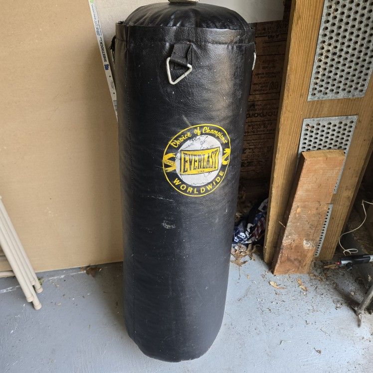 80lb Everlast Punching Bag
